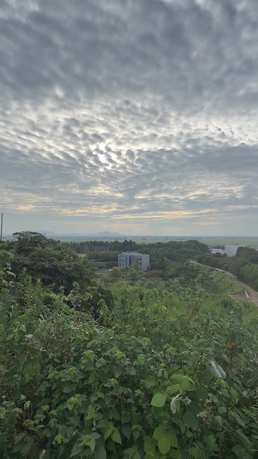 新潟研究室